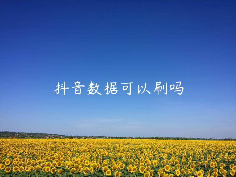 抖音數(shù)據(jù)可以刷嗎